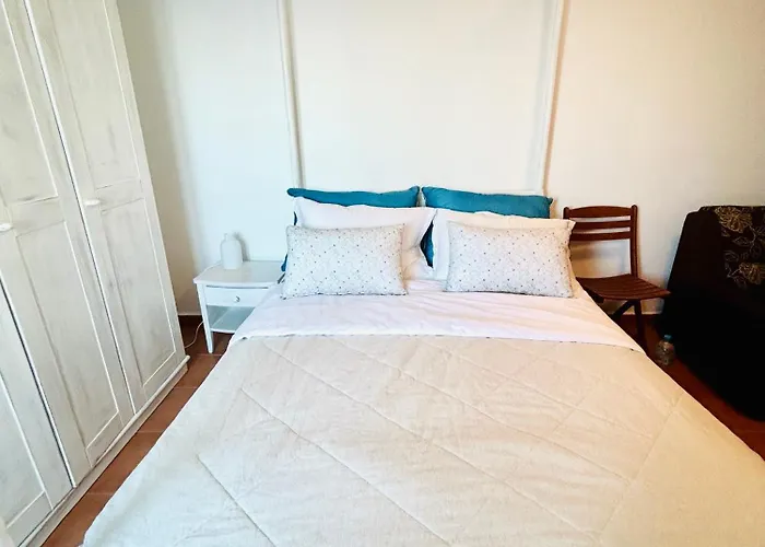 Delfini فيلة Kini